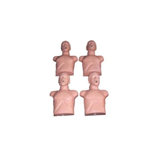 Maniquí prácticas RCP Adulto - SANI/NASCO - Imagen 2