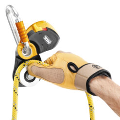 Alternative view of PRO Polea