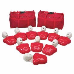 Basic Buddy Paquete de 10