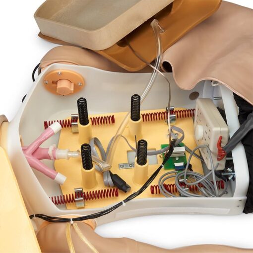 DLX PLUS CRISIS CPR METRIX - Imagen 15