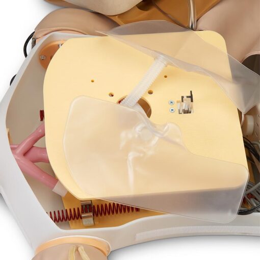 DLX PLUS CRISIS CPR METRIX - Imagen 14