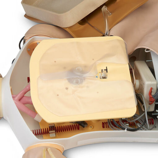 DLX PLUS CRISIS CPR METRIX - Imagen 13